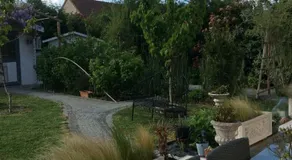 Tercier de vigne - Image 5