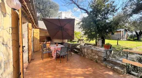 The Olive Grove - Sea View - Image 1