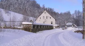 Biotanika - Image 5