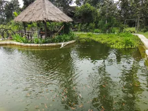 The Bong Thom Homestay by AIC - Image 3
