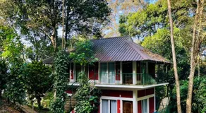 Oxygen Rain Forest Resort - Image 5