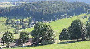 Ferienwohnung Saig - Image 5
