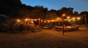 Eco Spirit - Image 5