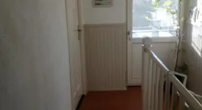 B&B Bij de koeien - Image 3