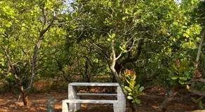 Junction Box Forest Hostel - Image 5