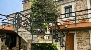 Apartamentos Castello - Image 3