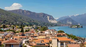 Ortensia - Image 5