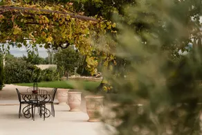 Luxury Provençal house – Pool, nature & spa - Image 3
