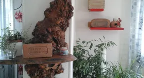 Chez Evelyne chambre d'hôtes chez l'habitant - Image 5