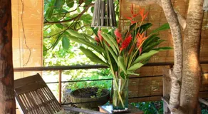 Green Lodge Moorea - Image 4