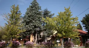 Locanda Lago Bleu - Image 4
