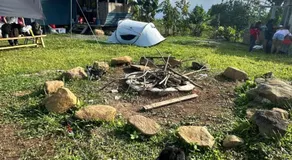 GME's Little Farm - Image 3
