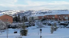B&B Nausica - Image 5