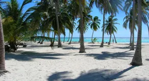 Caraibidamari - Image 5