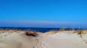 Audringa - Image 5