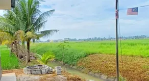 teratai ciknah - Image 5