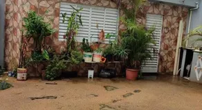 Apartamento inteiro com área e garagem privativa - Image 4