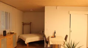 Ruhiges, schönes Studio in Zuchwil - Image 2