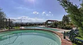 Poggio Martino - Image 3
