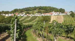 Gästehaus Weinviertel - Niederösterreich - Image 5