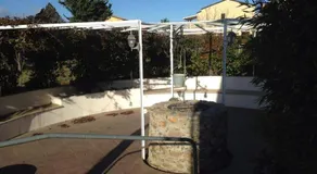 Le 3 tartarughe - Image 2