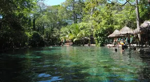 Murph's Surf Shacks - Image 3