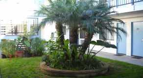 Palms Courtyard Inn - Image 3