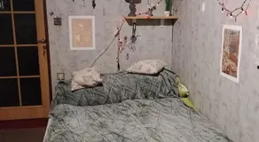 Pokoj s balkónem ve vesnickém stavení v Oboře u Doks - Image 2