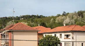 La casa di Cri - Moncalieri - Image 5