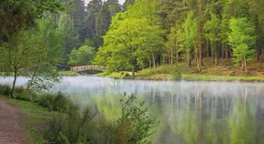 Rabbits Warren, 2 Single Bed Holiday Let in The Forest of Dean - Image 3