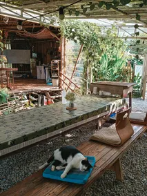 Yidan's Permaculture Farmstay - Image 5