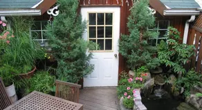 A Seaton Dream - Image 5