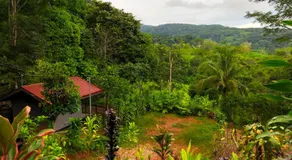 The Elements Costa Rica Nature Lodges - Image 4