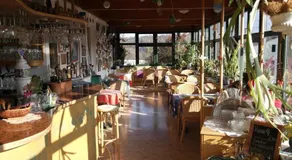 Landhaus Waldfrieden - Image 3
