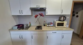 Apartments Furman - SELF CHECK-IN - Image 5