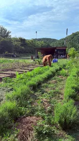 The Grid Farm By Balkaya Çiftliği - Image 4