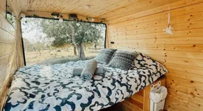 Van Ducato - Image 2