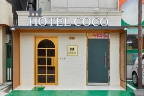 Yeongdeungpo Coco - Image 5