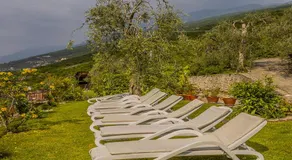 Holiday Mantovani - Image 3