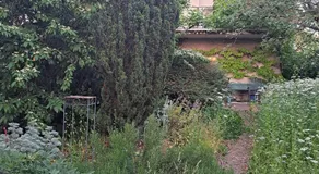 Im Efeu - Image 4