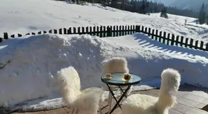 Lejlighed i Bodental tæt på skibakker - Image 4