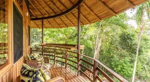 Junglebungalow - Image 3