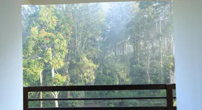 Aditi - Image 5