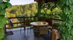 Country House Roman - Image 3