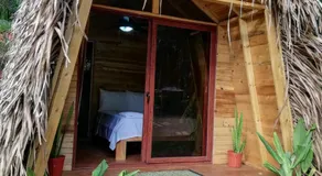 Bodhi Santa Catalina - Image 2