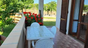 COLLINA FIORITA - Image 3