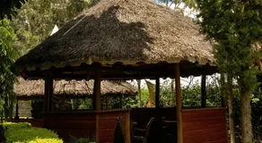 Pine Breeze Getaway Lukenya - Image 5