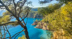T3 Saint Cyr sur Mer 83270 - Image 4
