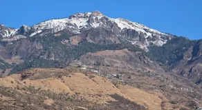 Tipri Chaani Homestay - Image 5
