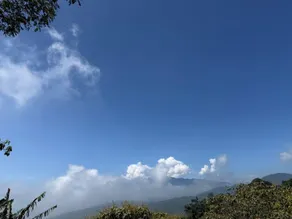 El Rincón De Las Guacharacas - Image 5